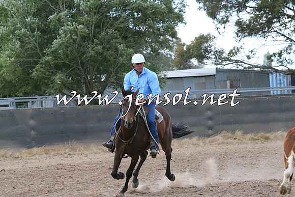 BraidwoodCampdraft2014_2366