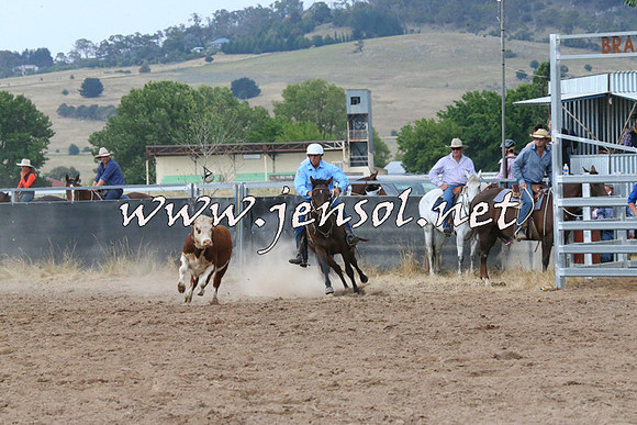 BraidwoodCampdraft2014_2361