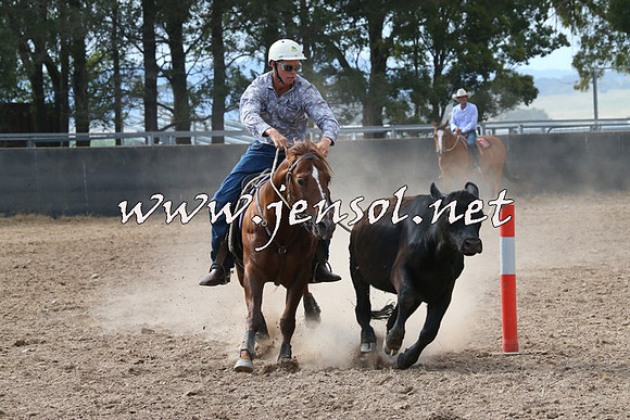 BraidwoodCampdraft2014_2209