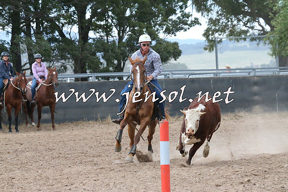 BraidwoodCampdraft2014_2321