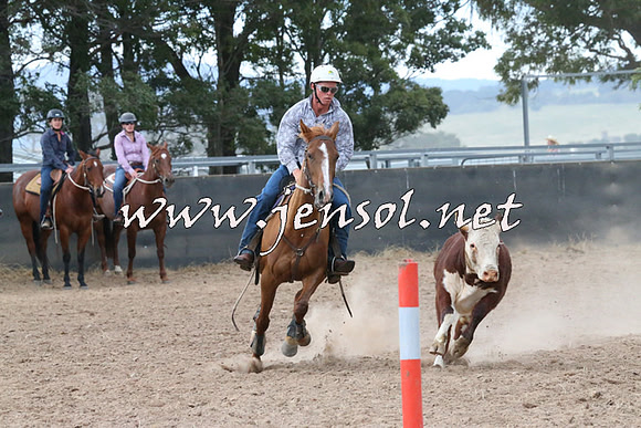 BraidwoodCampdraft2014_2324