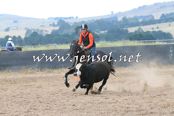 BraidwoodCampdraft2014_2332