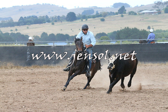 BraidwoodCampdraft2014_2278