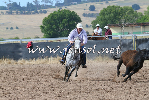 BraidwoodCampdraft2014_2229