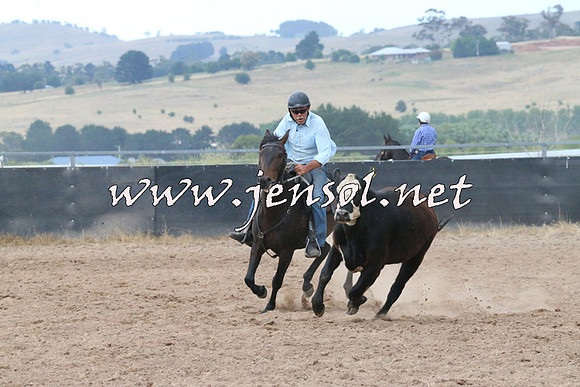 BraidwoodCampdraft2014_2281