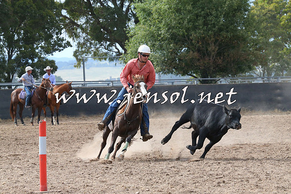BraidwoodCampdraft2014_2224