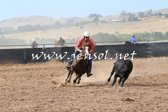 BraidwoodCampdraft2014_2218