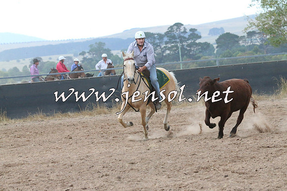 BraidwoodCampdraft2014_2353