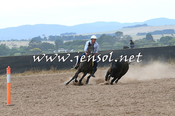BraidwoodCampdraft2014_2277