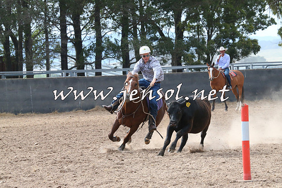 BraidwoodCampdraft2014_2204