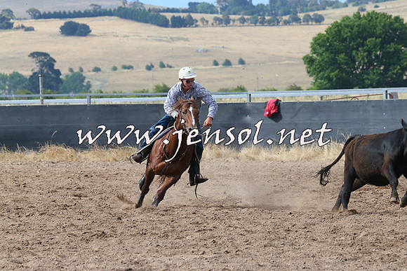 BraidwoodCampdraft2014_2196