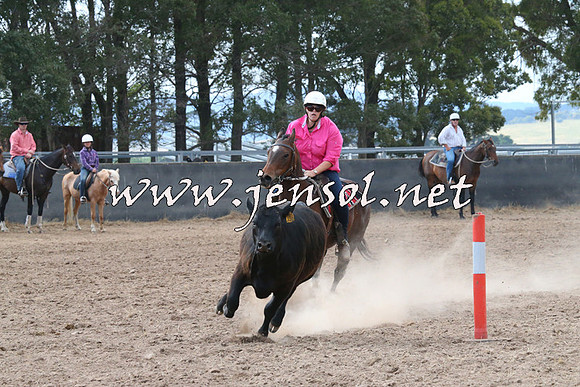 BraidwoodCampdraft2014_2194