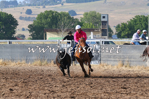 BraidwoodCampdraft2014_2028