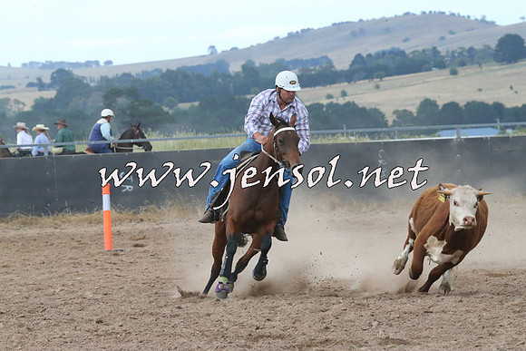 BraidwoodCampdraft2014_2297