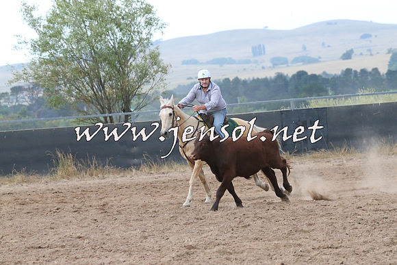 BraidwoodCampdraft2014_2351