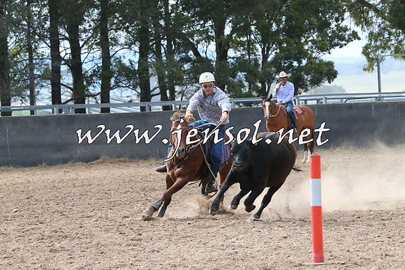 BraidwoodCampdraft2014_2205