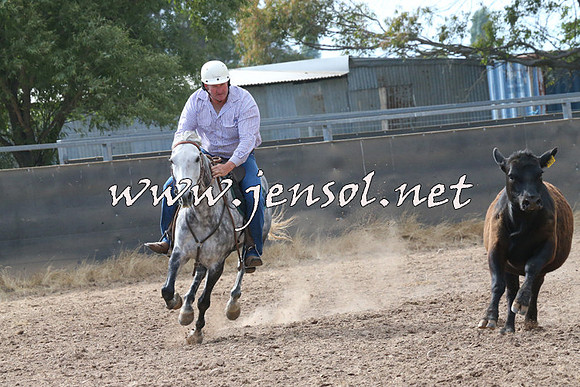 BraidwoodCampdraft2014_2238