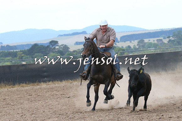 BraidwoodCampdraft2014_2265