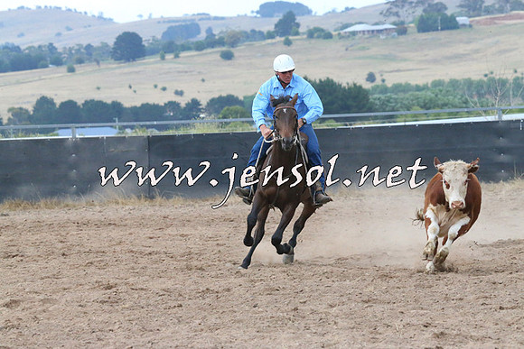 BraidwoodCampdraft2014_2359