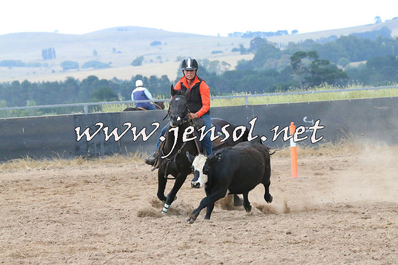 BraidwoodCampdraft2014_2335