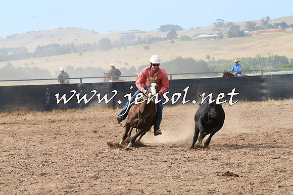 BraidwoodCampdraft2014_2220