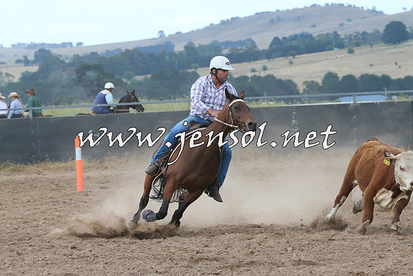 BraidwoodCampdraft2014_2298
