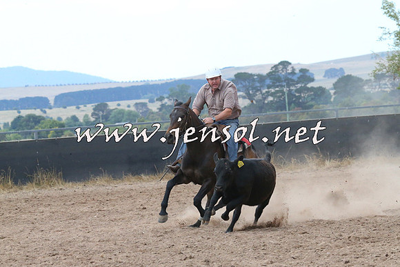 BraidwoodCampdraft2014_2270