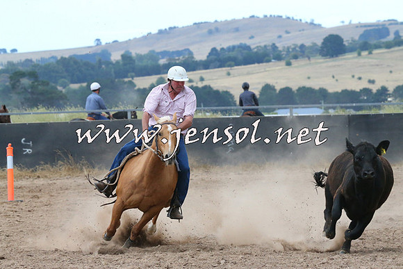 BraidwoodCampdraft2014_2256