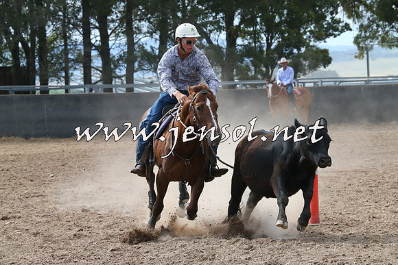 BraidwoodCampdraft2014_2212