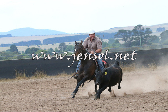 BraidwoodCampdraft2014_2268