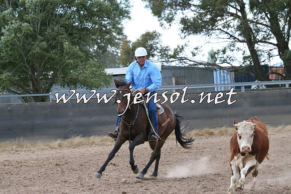BraidwoodCampdraft2014_2368