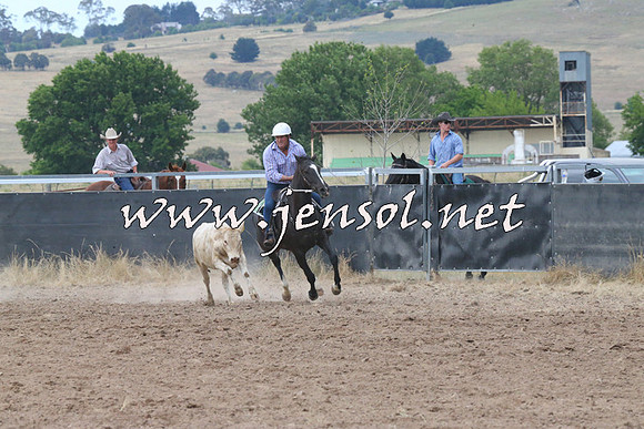 BraidwoodCampdraft2014_2249