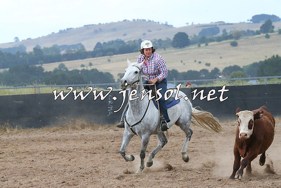 BraidwoodCampdraft2014_2370
