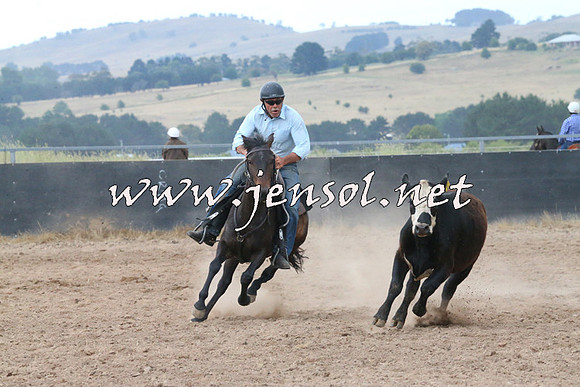 BraidwoodCampdraft2014_2283