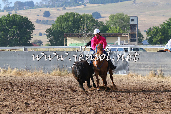 BraidwoodCampdraft2014_2025