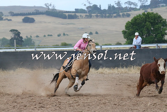 BraidwoodCampdraft2014_2347