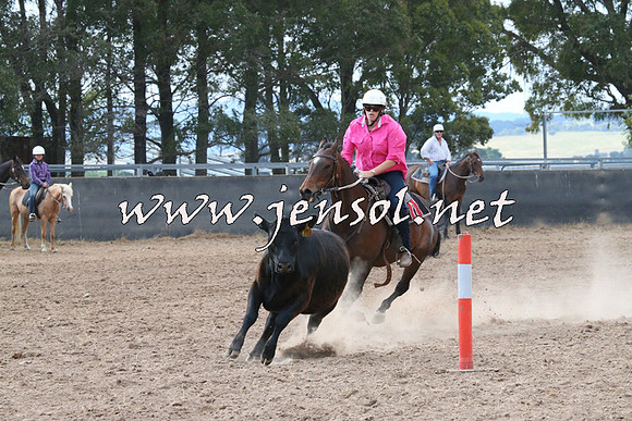 BraidwoodCampdraft2014_2192