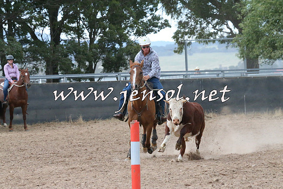 BraidwoodCampdraft2014_2323