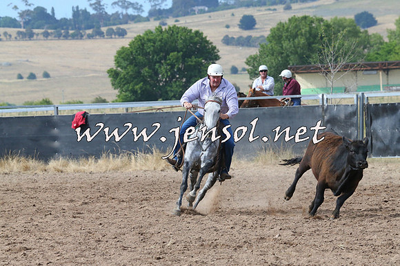 BraidwoodCampdraft2014_2231