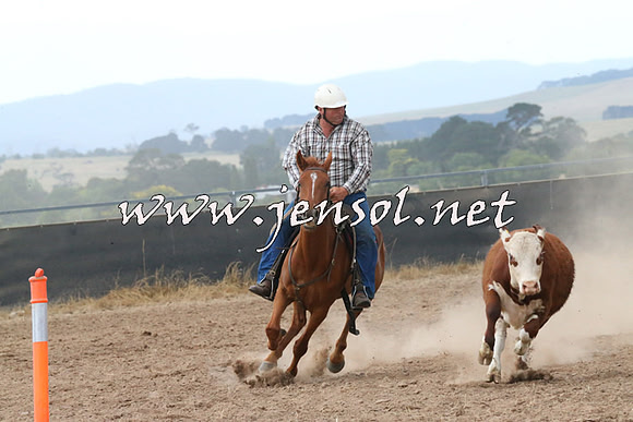 BraidwoodCampdraft2014_2341