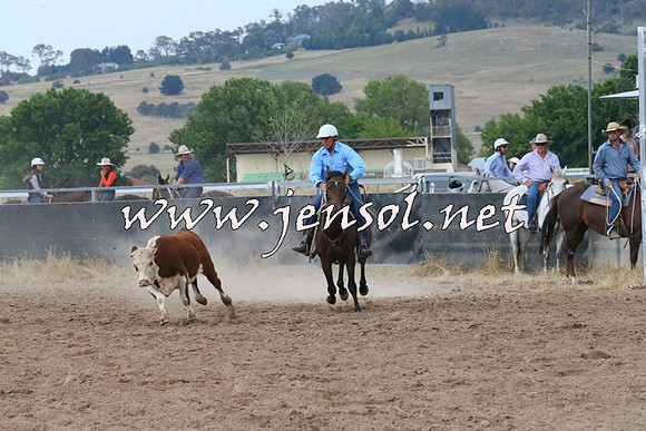 BraidwoodCampdraft2014_2365