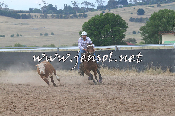 BraidwoodCampdraft2014_2302