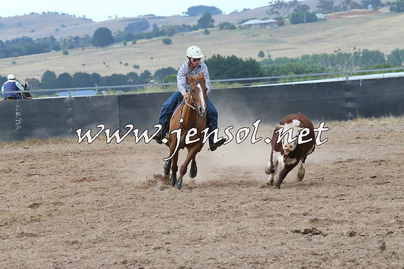 BraidwoodCampdraft2014_2309