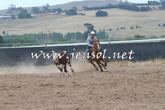 BraidwoodCampdraft2014_2318