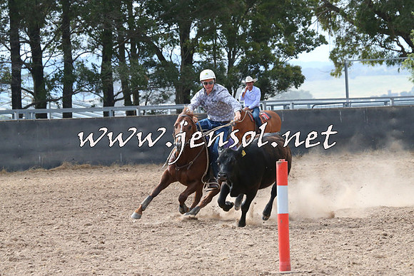 BraidwoodCampdraft2014_2207