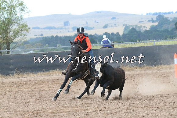 BraidwoodCampdraft2014_2334