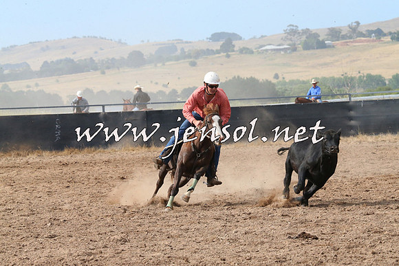 BraidwoodCampdraft2014_2216