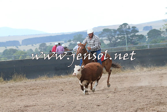 BraidwoodCampdraft2014_2338