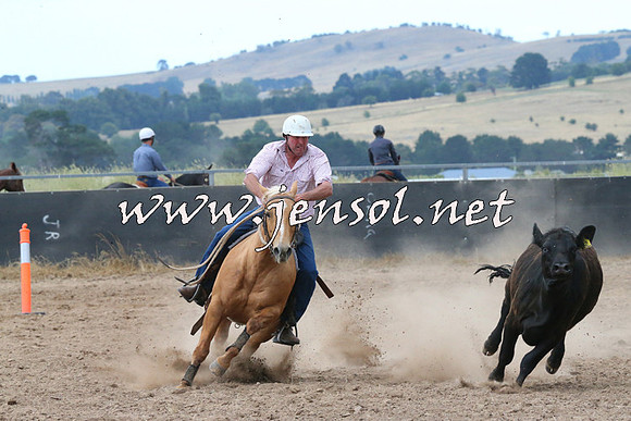 BraidwoodCampdraft2014_2258