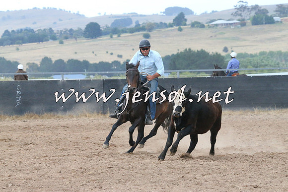 BraidwoodCampdraft2014_2280